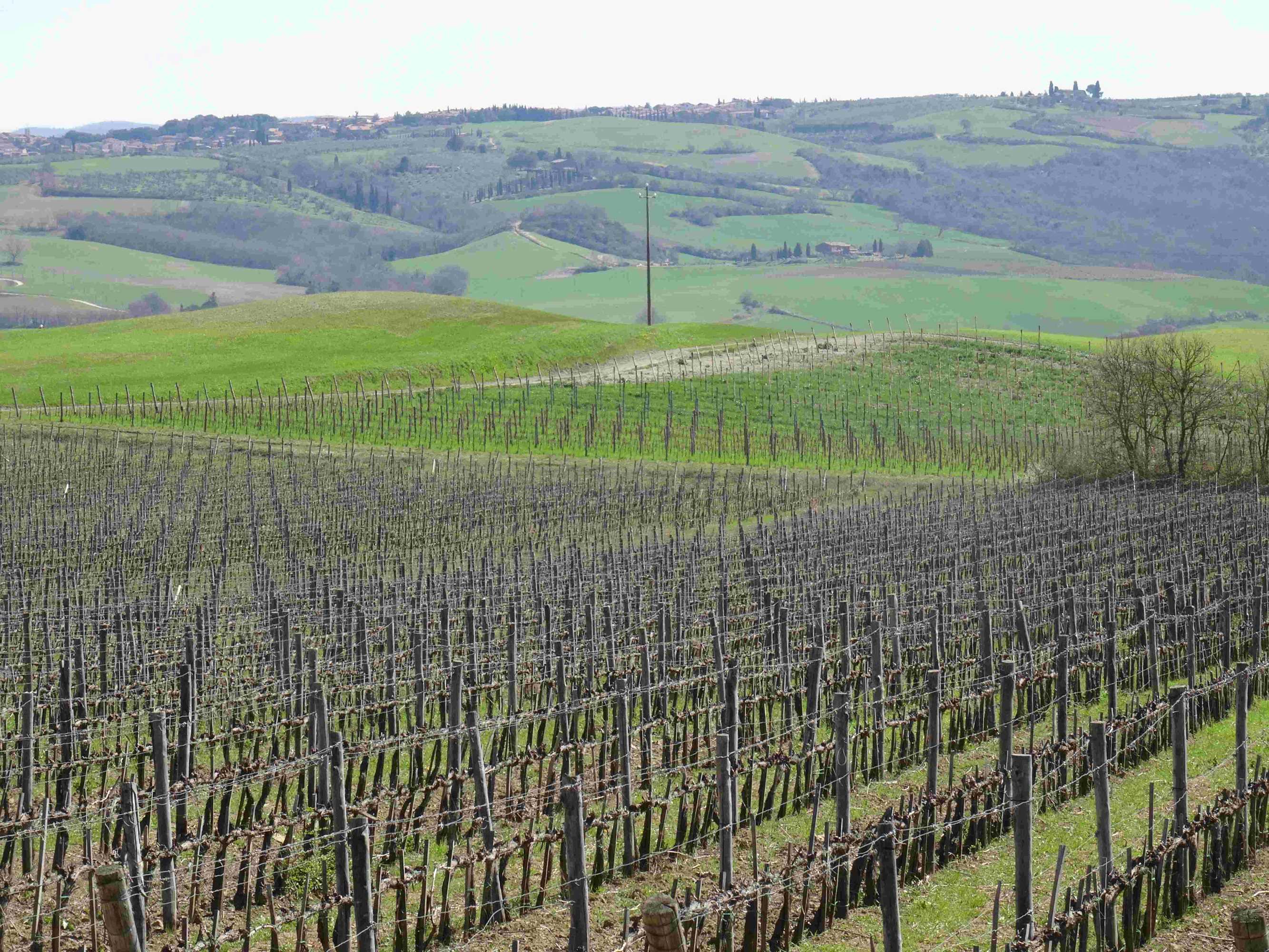 Udsigt over Montalcino